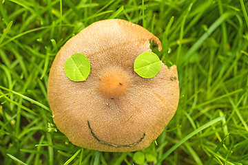 Image showing mushroom face