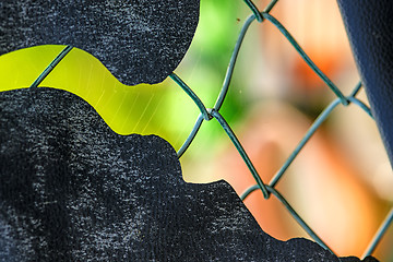 Image showing fence with colorful background