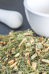 Image showing horse's tail, Equisetum arvense, medicinal plant