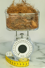 Image showing Maize beard tea