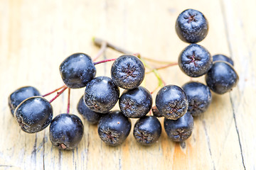 Image showing Black choke berry