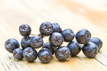 Image showing Black choke berry