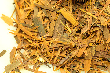 Image showing Lapacho tea