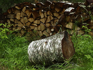 Image showing firewood