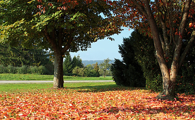 Image showing rural autumn landscape