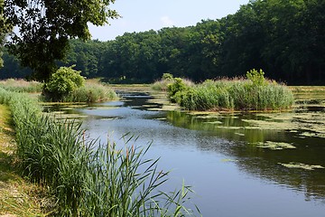 Image showing Goluchow park, Poland