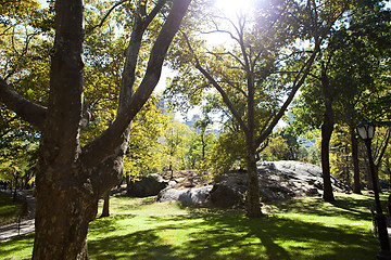 Image showing NYC Central Park