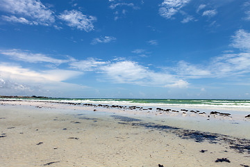 Image showing Siesta Key Beach Sarasota Florida