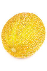 Image showing Cantaloupe Melon