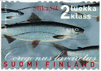 Image showing Whitefish Stamp