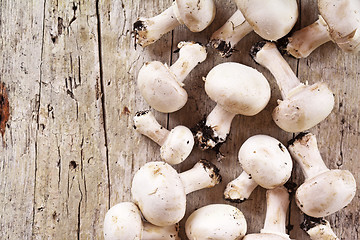 Image showing  fresh champignons