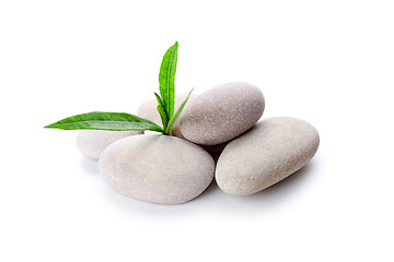 Image showing heap of stones and green leaves 