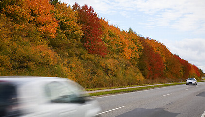 Image showing Autumn in Denmark