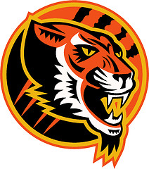 Image showing Angry Tiger Side Retro