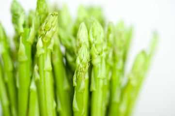 Image showing fresh asparagus over white