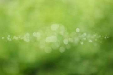 Image showing Beautiful green Bokeh for background