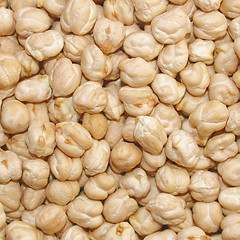 Image showing Chickbeans