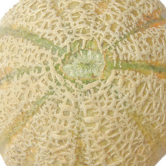 Image showing Melon picture