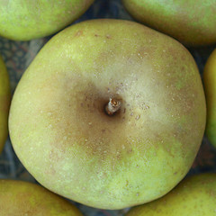 Image showing Apples picture