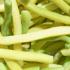 Image showing Common bean