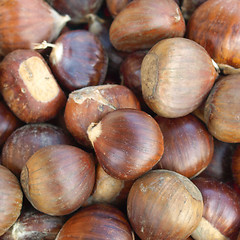 Image showing Chestnuts picture