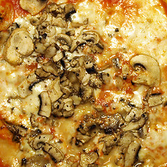 Image showing Mushroom Pizza