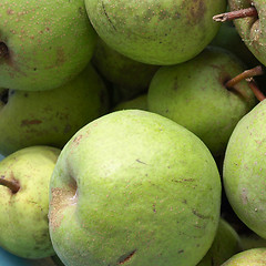 Image showing Pears picture