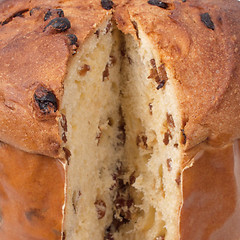 Image showing Panettone bread