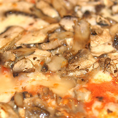 Image showing Mushroom Pizza
