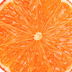 Image showing Orange slice