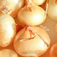 Image showing Onions