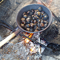 Image showing Barbecue picture