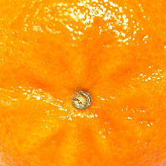 Image showing Tangerine