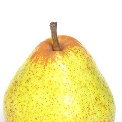 Image showing Pear