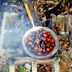 Image showing Barbecue picture