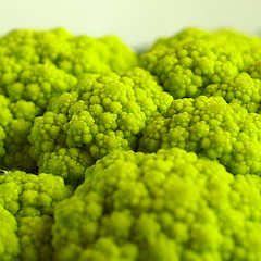 Image showing Cauliflower picture