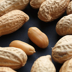 Image showing Peanut picture