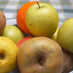 Image showing Fruits picture