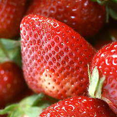 Image showing Strawberry