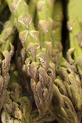 Image showing asparagus