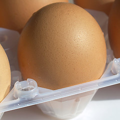 Image showing Eggs picture