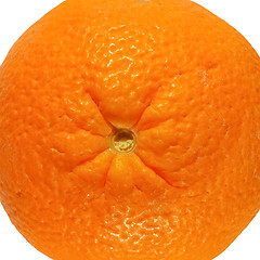 Image showing Orange fruit