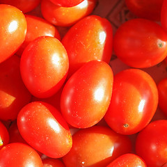 Image showing Cherry tomato background