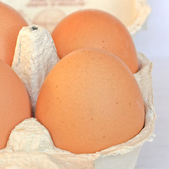 Image showing Eggs