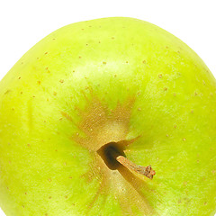 Image showing Granny Smith Apple