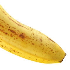 Image showing Banana fruit