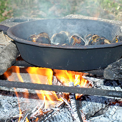 Image showing Barbecue