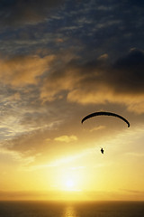 Image showing Paraglider