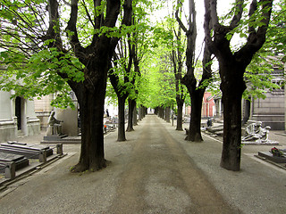 Image showing Cemetery with Chapel in Milano