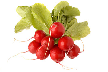 Image showing radish